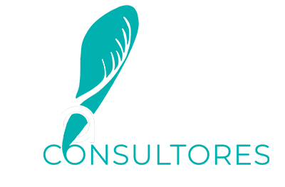 Arces Consultores